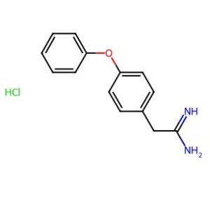 2-(4-Phenoxy-phenyl)-acetamidine HCl – CAS 1172966-21-0