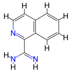 Isoquinoline-1-carboxamidine