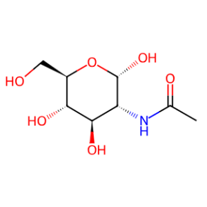 N-ACETYL-ALPHA-D-GLUCOSAMINE