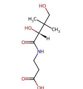 D-Pantothenic Acid