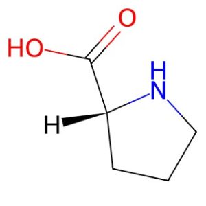 D-proline
