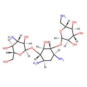 Kanamycin