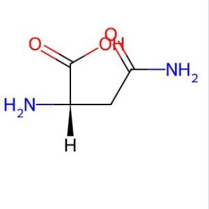 L-Asparagine