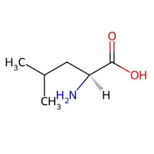 L-Leucine