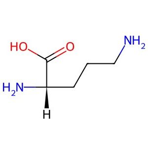 L-Ornithine