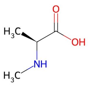 N-METHYL-L-ALANINE