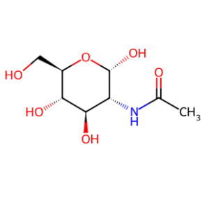 N-acetyl-α-D-glucosamine